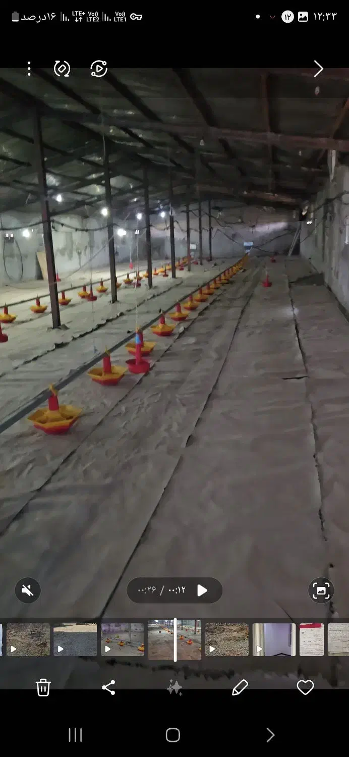 مزرعه پرورش بوقلمون واقع در استان البرز|فروش دفتر صنعتی، کشاورزی، تجاری|پلنگ آباد, |دیوار