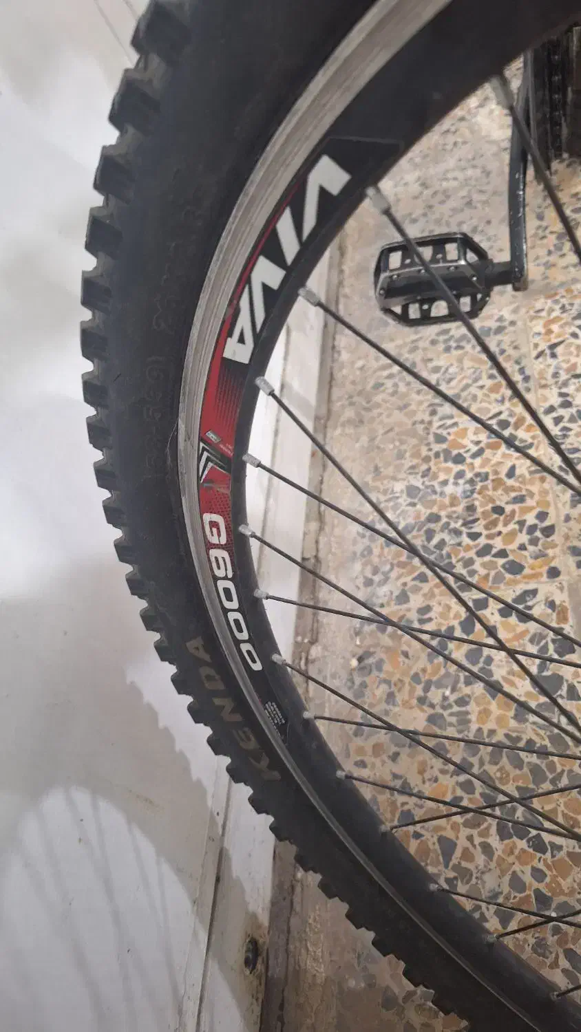 دوچرخه ویوا اصلی|دوچرخه، اسکیت، اسکوتر|شیراز, میانرود|دیوار