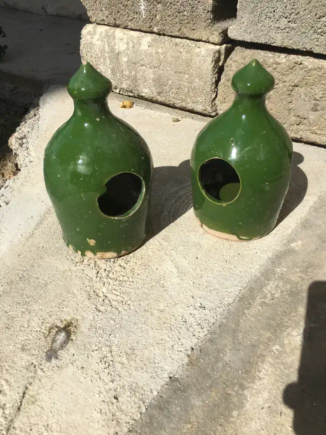 ظرف آب و دون پرنده سفالی|لوازم جانبی حیوانات|ارومیه, |دیوار