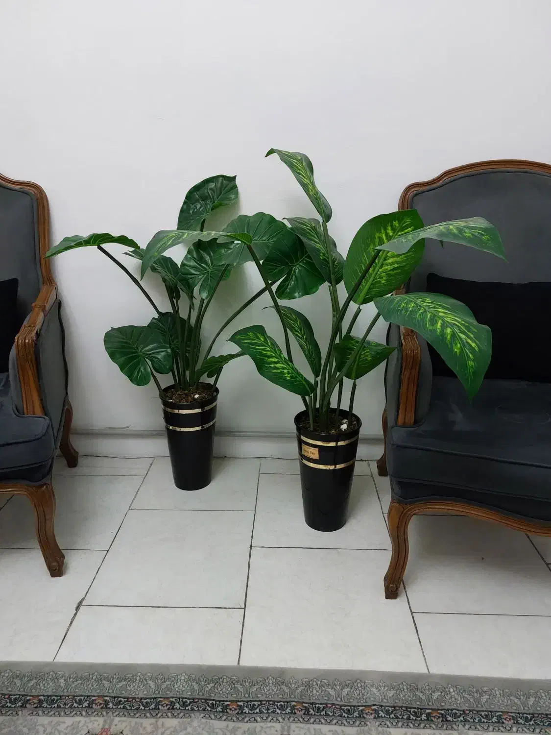 درختچه مصنوعی|گل مصنوعی|کرج, کمال‌شهر|دیوار