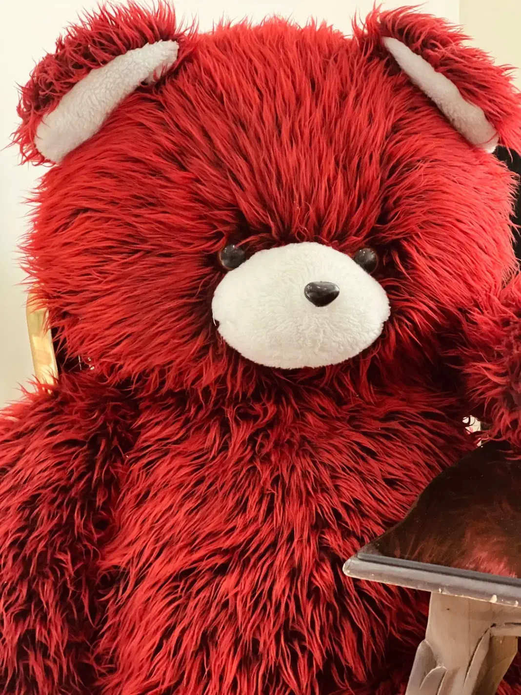 خرس روز زن و دختر و ولنتاین|اسباببازی|تبریز, |دیوار