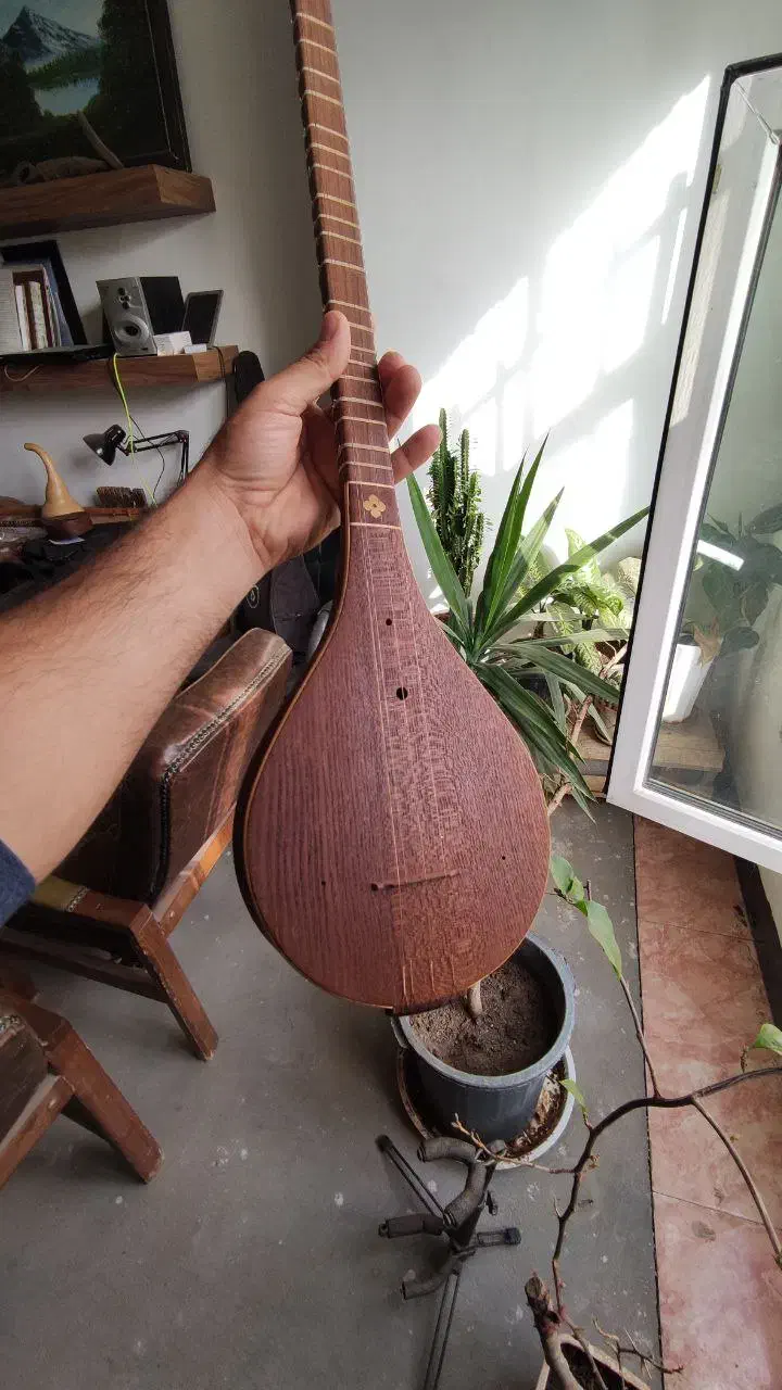 سه تار حرفه ای|سازهای سنتی|ایذه, |دیوار