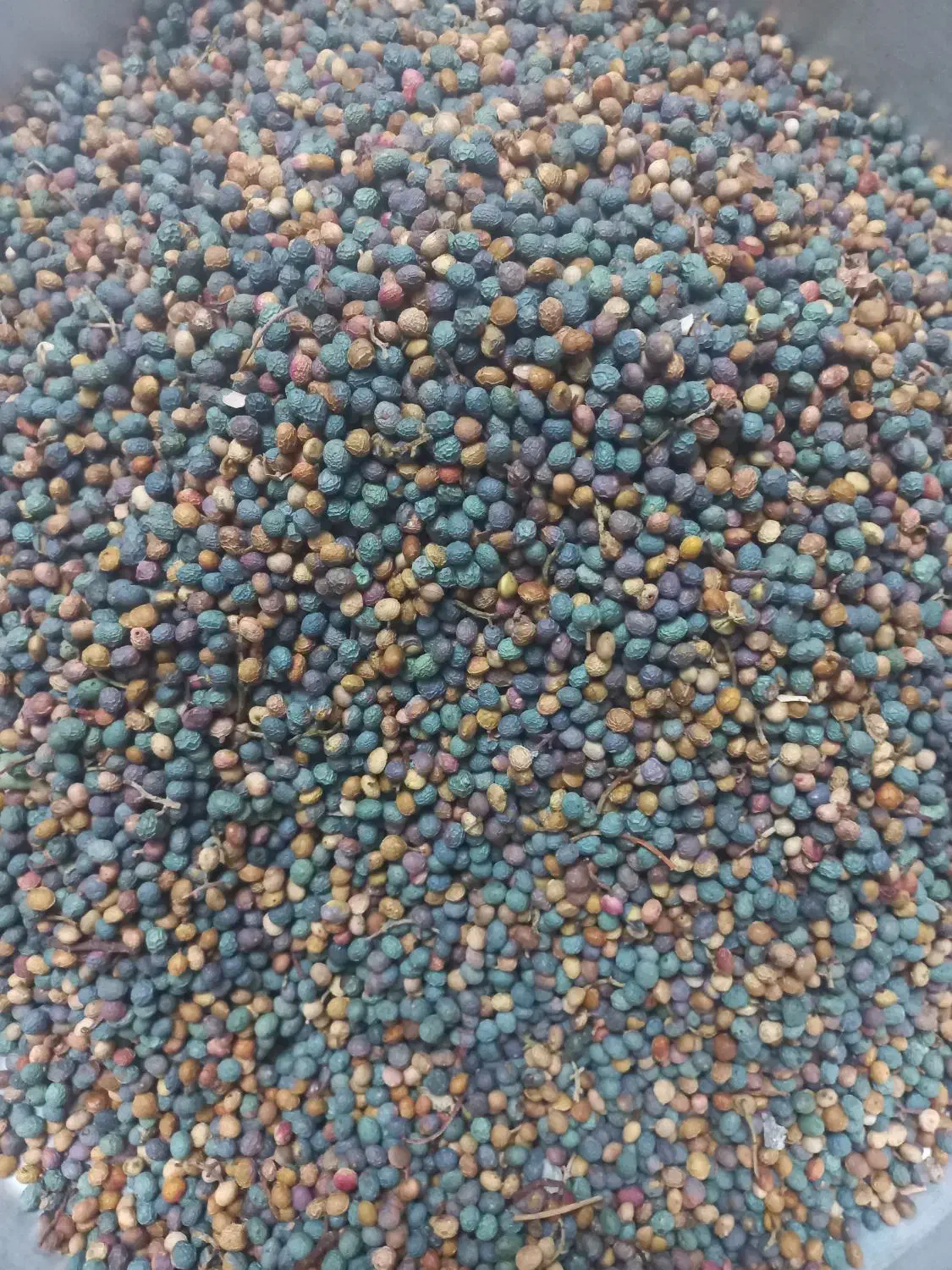 بنه|خوردنی و آشامیدنی|شیراز, آزادگان|دیوار