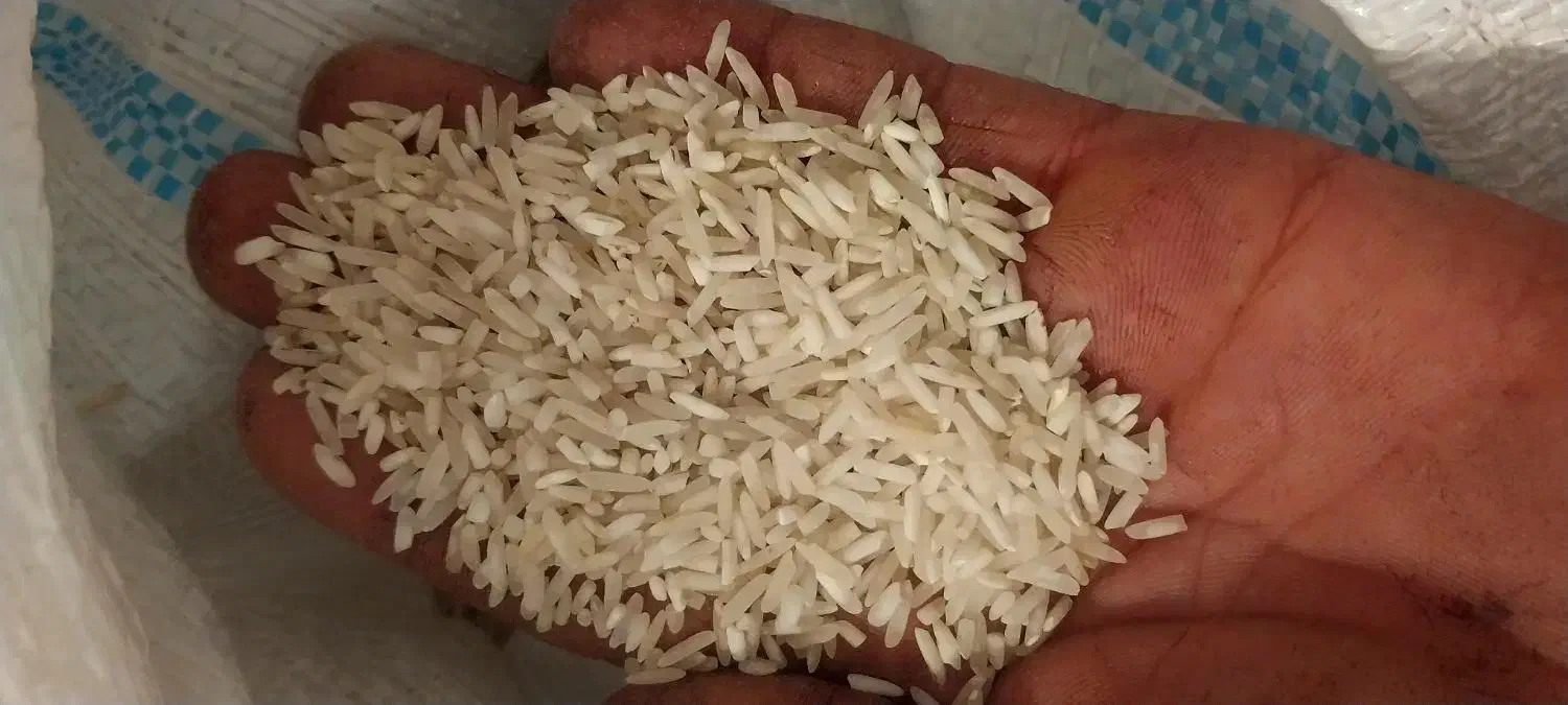 برنج ضیغمی|خوردنی و آشامیدنی|کوهدشت, |دیوار