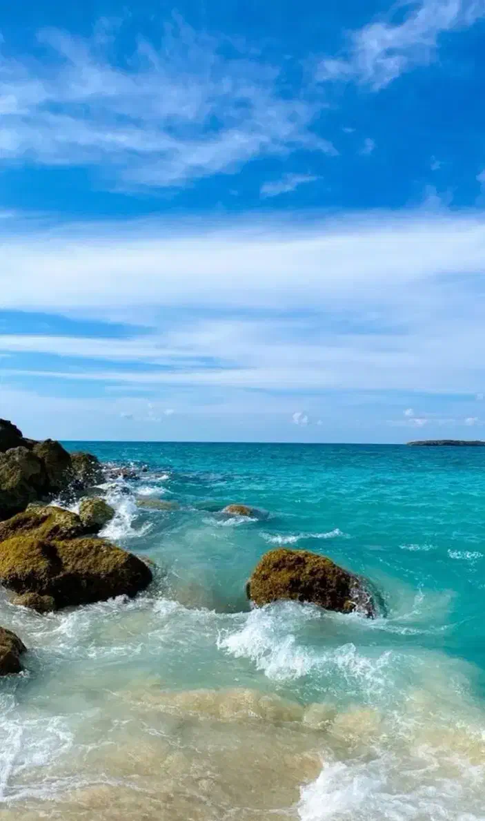 یع همراه میخوام|فعالیت داوطلبانه|چابهار, |دیوار