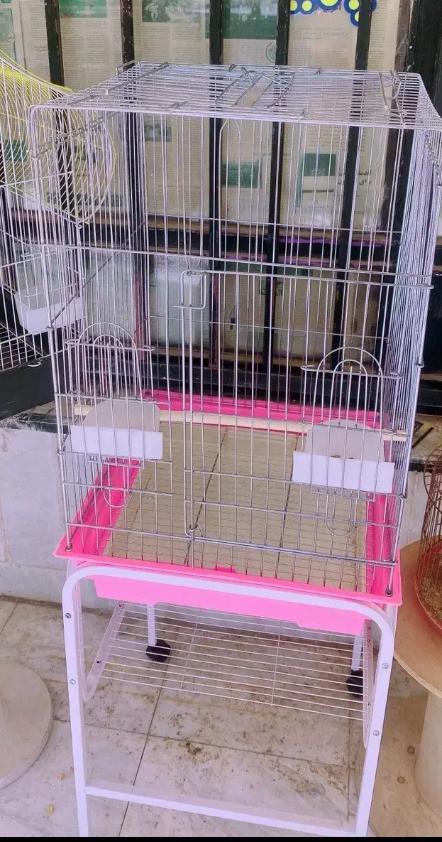 قفس طوطی|لوازم جانبی حیوانات|شاهینشهر, شهرک گلدیس|دیوار