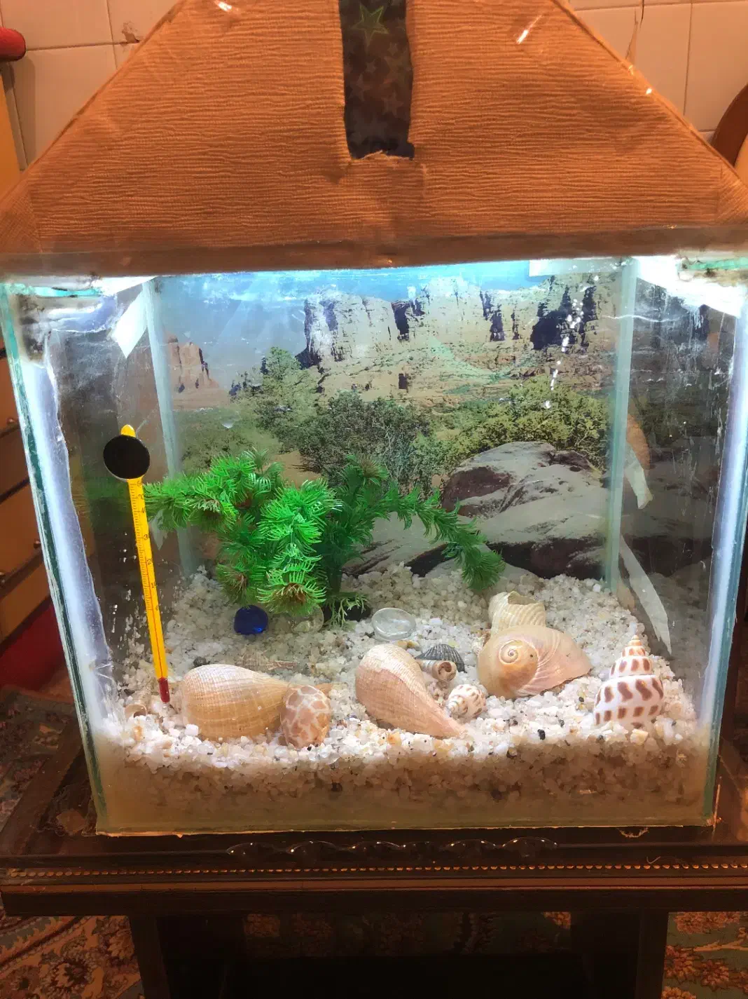 اکواریوم کامل اماده|ماهی|تهران, زعفرانیه|دیوار