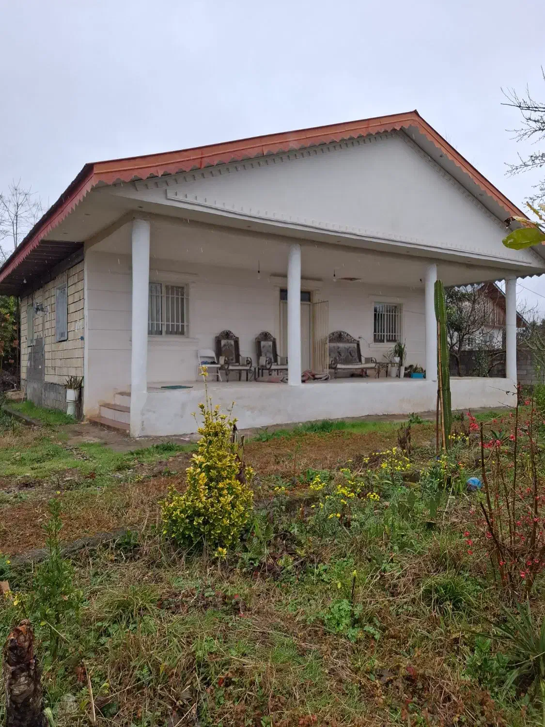 فروش قطعه زمین ماسال|فروش زمین و ملک کلنگی|ضیابر, |دیوار