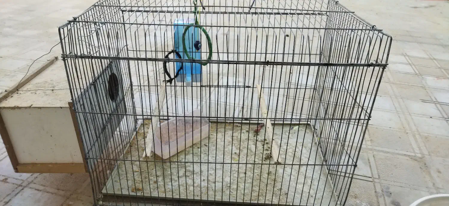 قفس|لوازم جانبی حیوانات|یاسوج, |دیوار