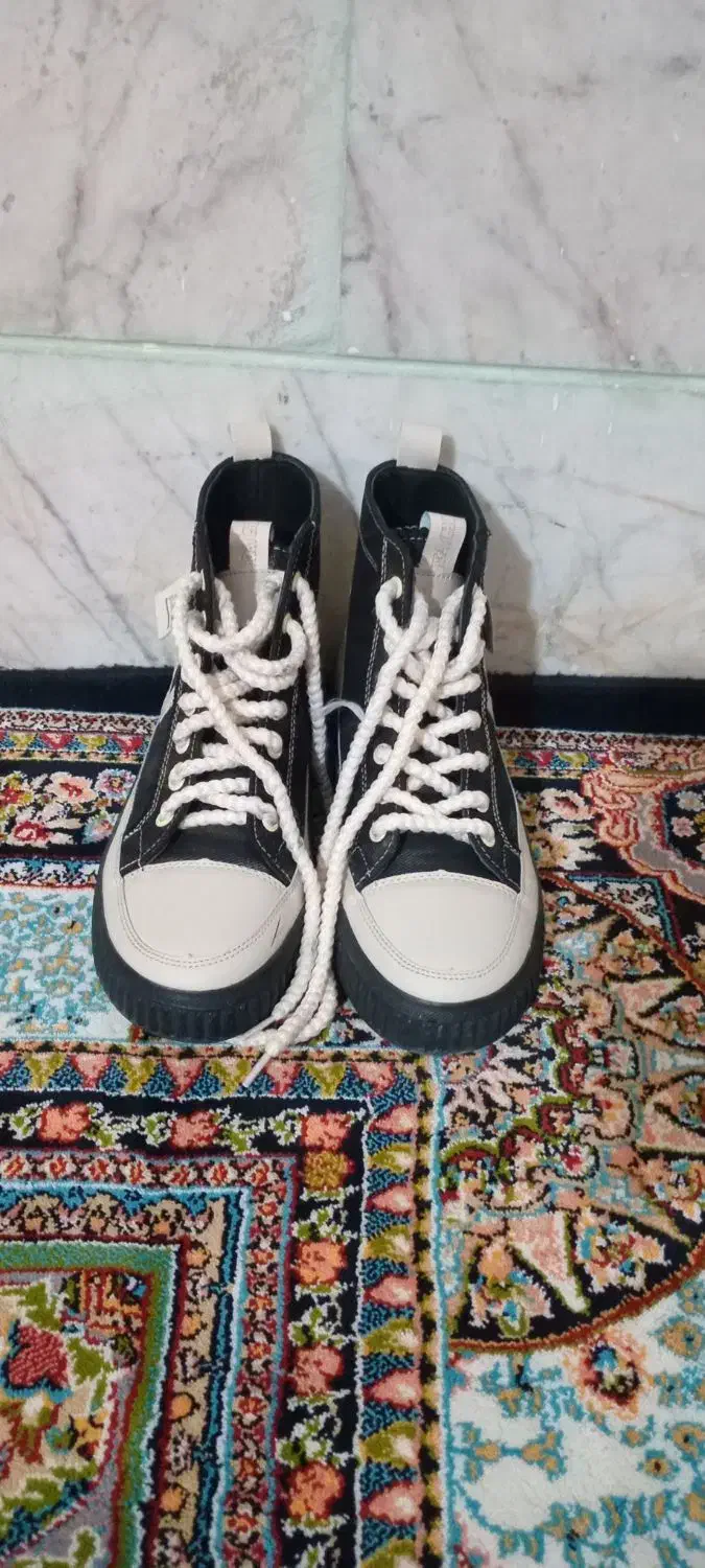 کفش|کیف، کفش، کمربند|ملایر, |دیوار