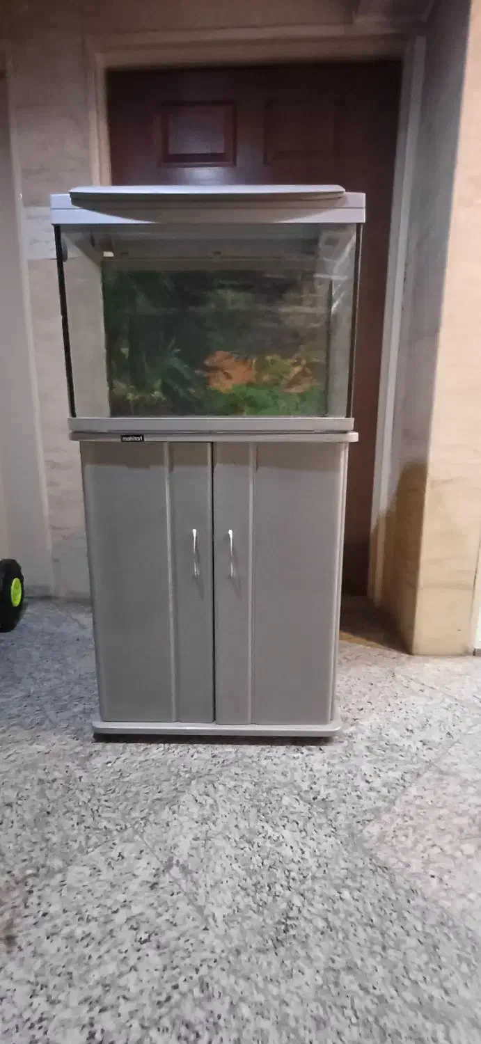 آکواریوم|ماهی|تهران, شهرک غرب|دیوار