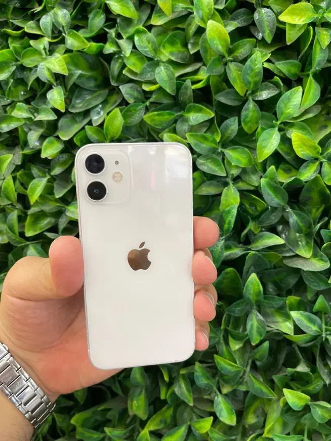 ۱۲مینی قسطی بخر|موبایل|اصفهان, شاهزید|دیوار