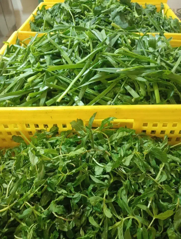 سبزی پاک شده شسته شده|خوردنی و آشامیدنی|کرج, شهرک سهرابیه|دیوار