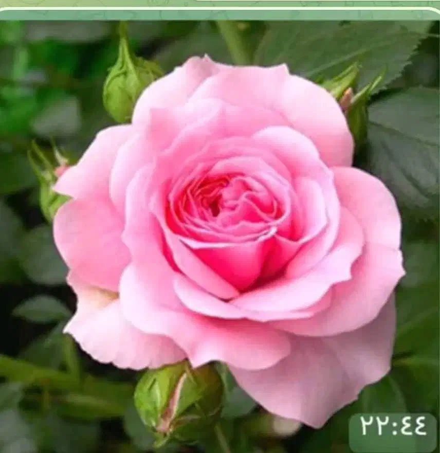 کارآفرین املاک یاس|خدمات پیشه و مهارت|چرداول, |دیوار