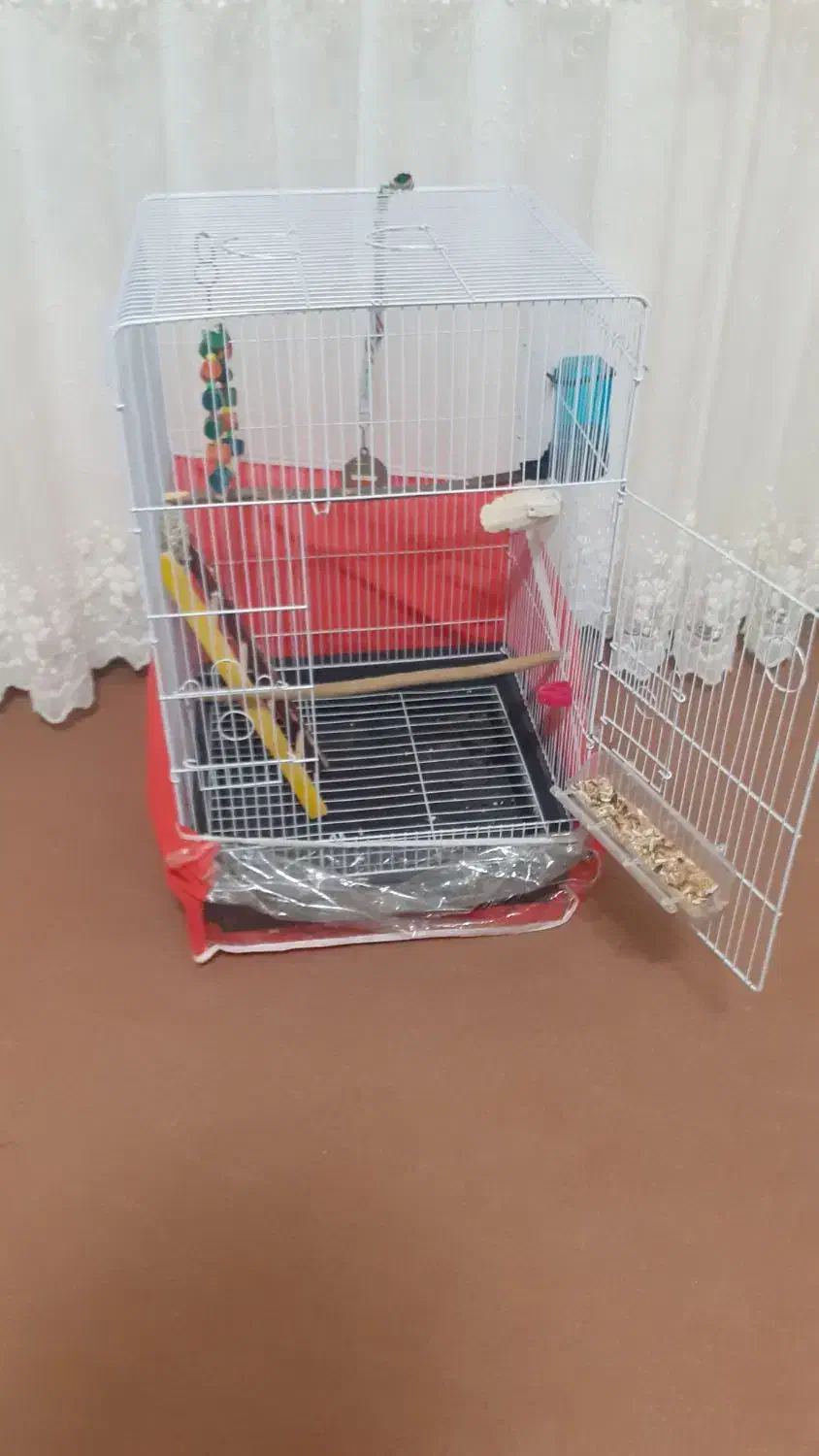 فروش عروس هلندی|پرنده|انگوت, |دیوار