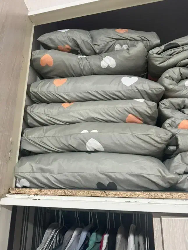 بالشت۱۲عددباروکش کاملاسالم وتمیز|رختخواب، بالش، پتو|فردیس, کچویی|دیوار