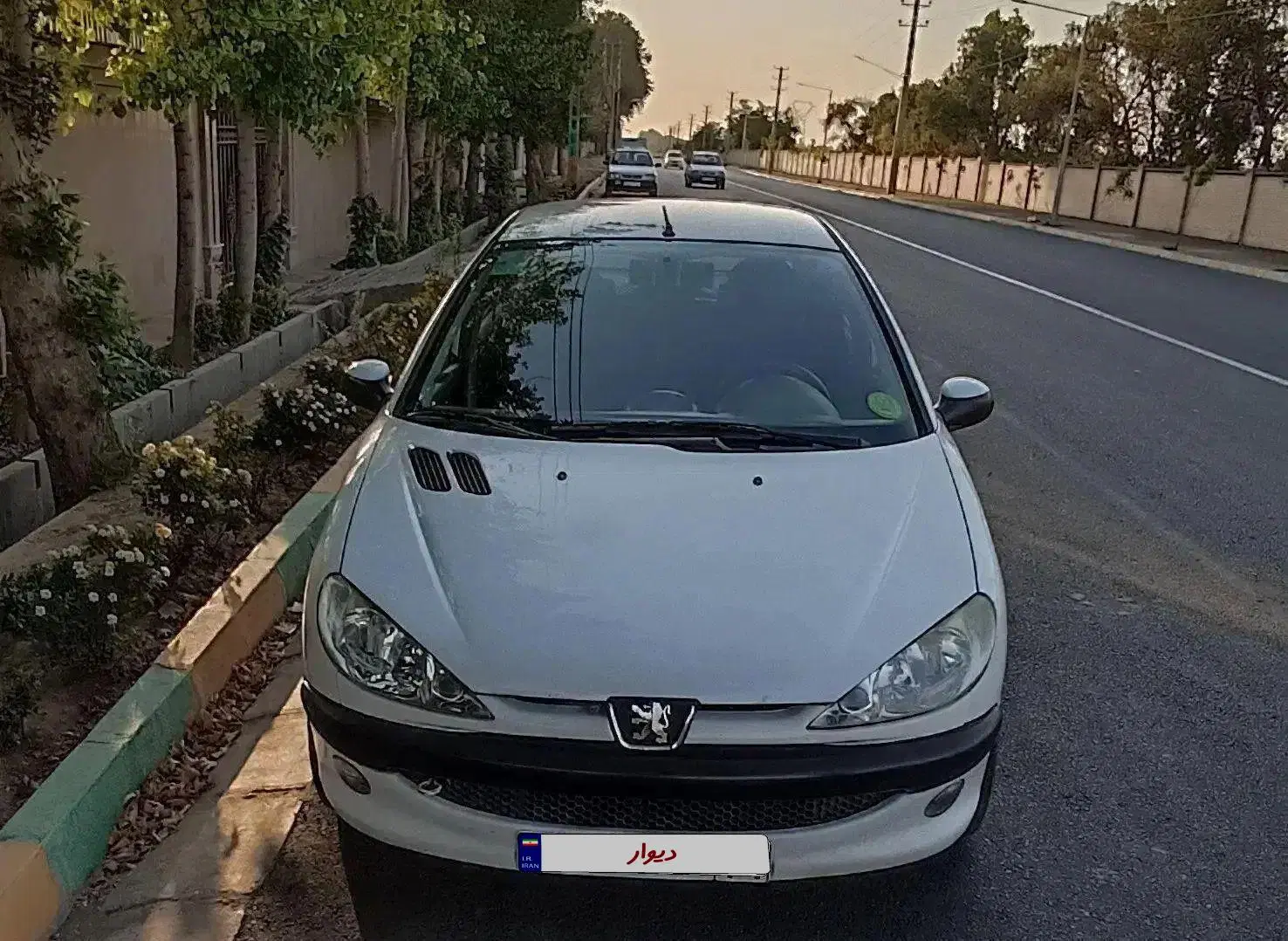 206sd|خودرو سواری و وانت|مشکین‌دشت, |دیوار