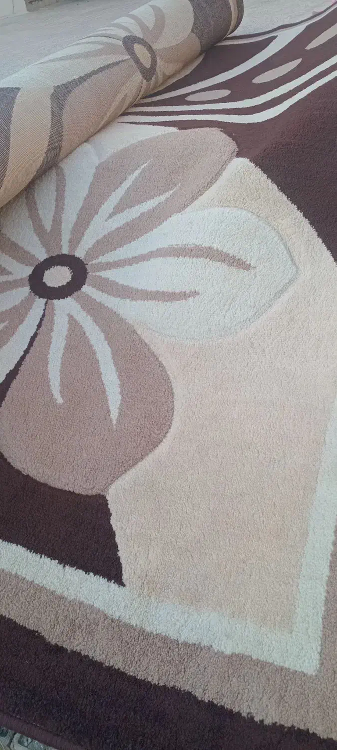 دوتا گلیم فرش دو در دونیمدرحدنو|گلیم، جاجیم، گبه|بافت, |دیوار