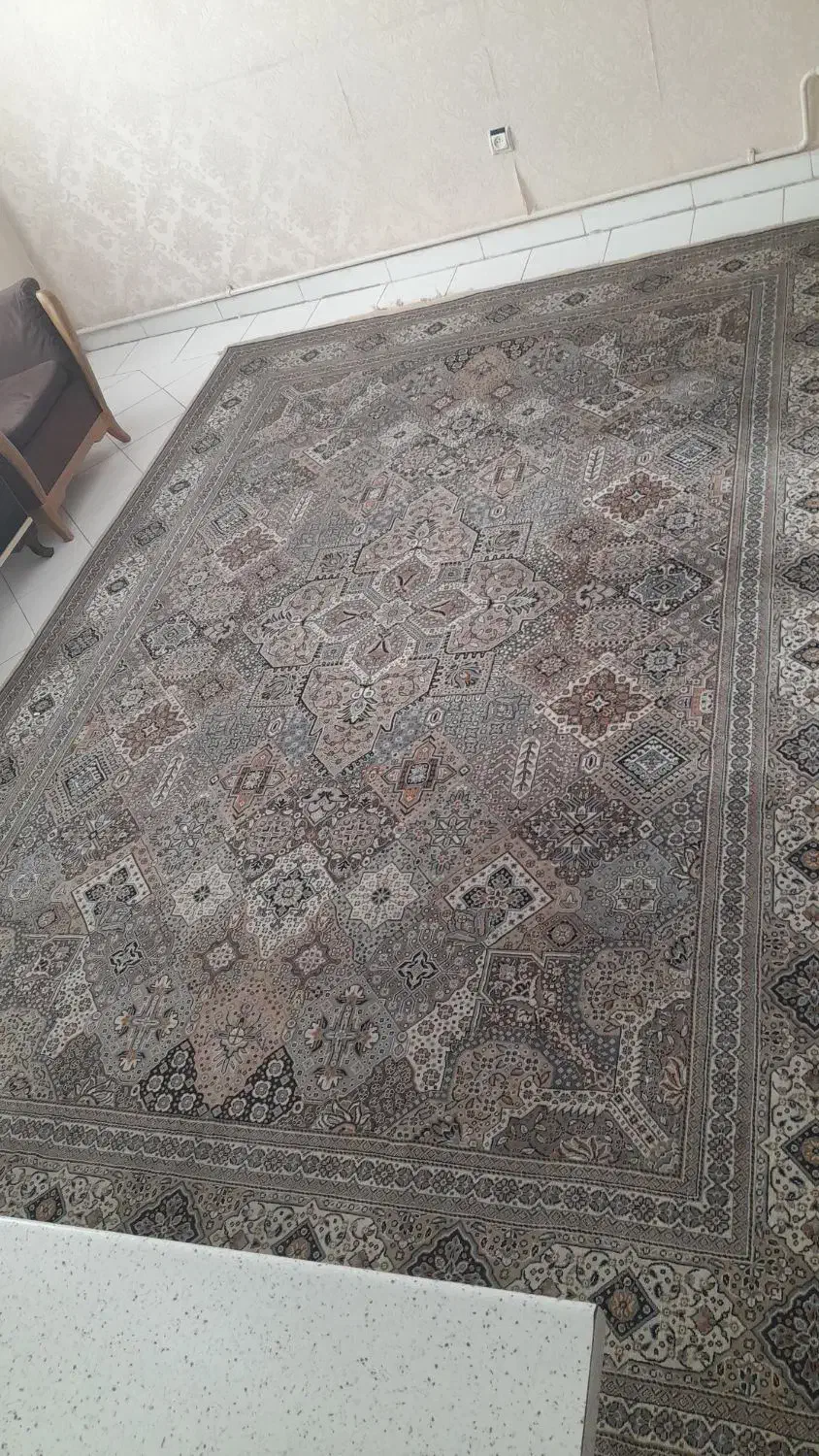 فرش 9 متری|فرش|فردیس, داوری|دیوار