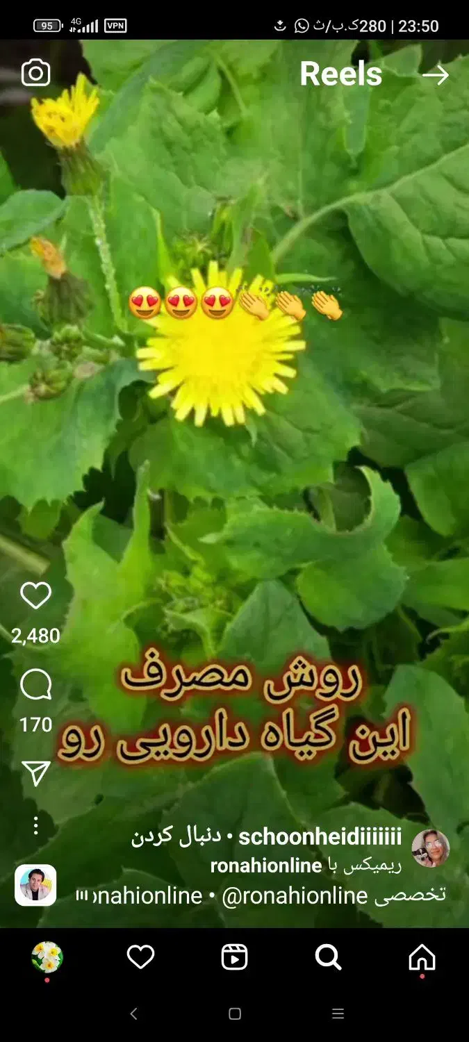 کاه لوبیا چیتی|حیوانات مزرعه|مرودشت, نقش رستم|دیوار