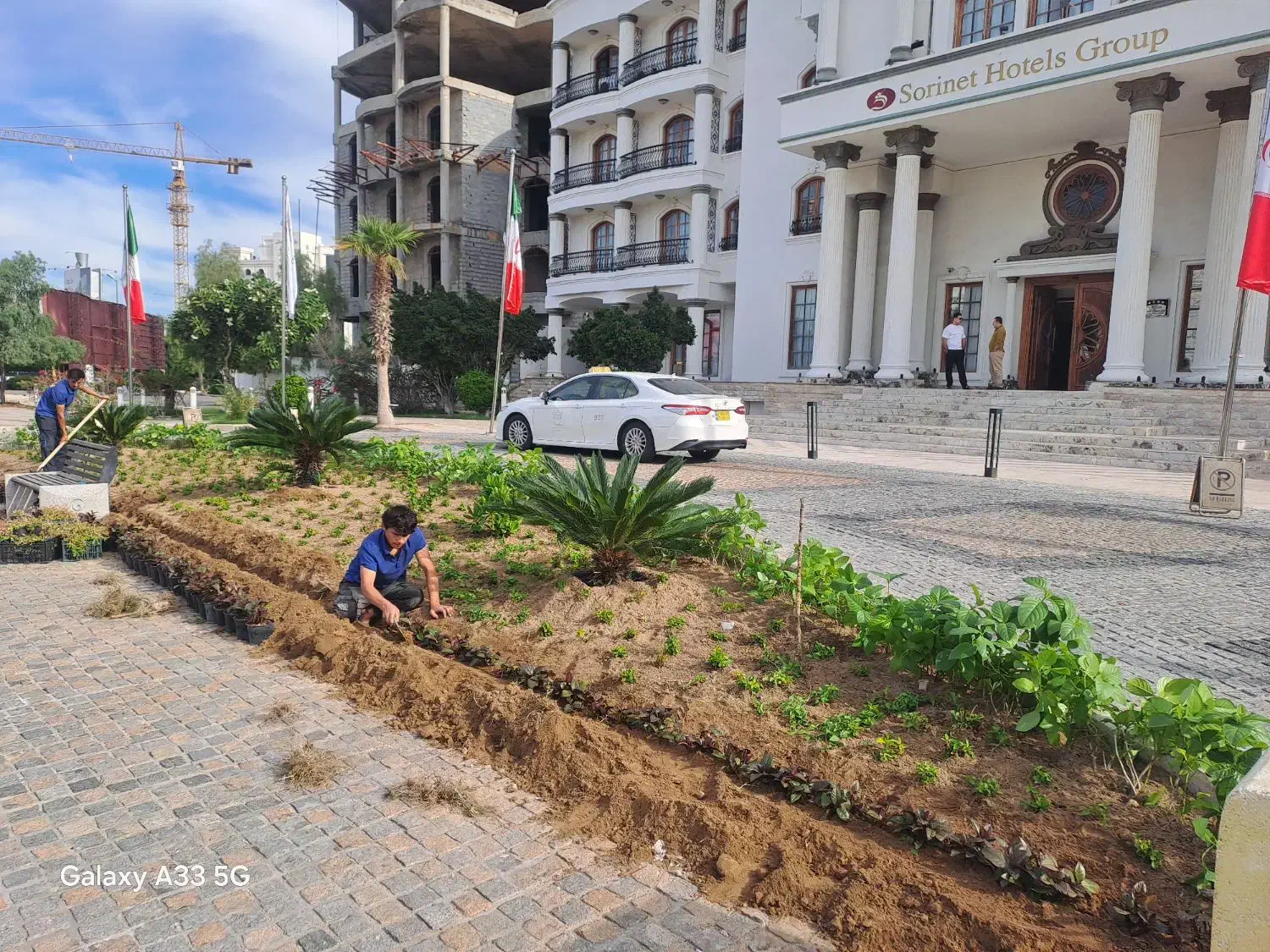 کلیه خدمات فضای سبز|خدمات باغبانی و درختکاری|کیش, |دیوار