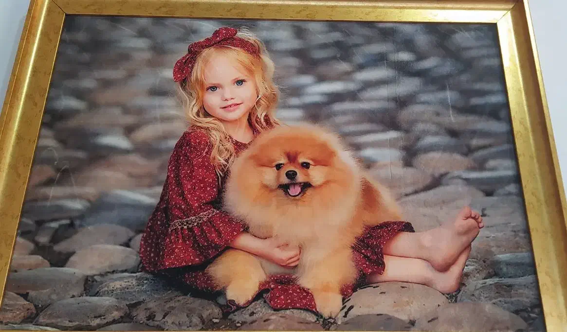 تابلو فرش|تابلو فرش|یاسوج, |دیوار