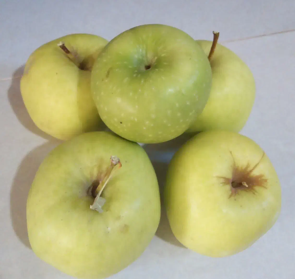 فروش سیب سبز|خوردنی و آشامیدنی|خاوه, |دیوار