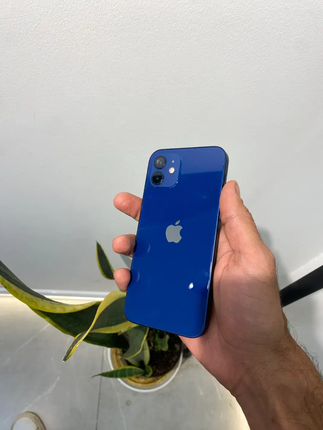 12normal|موبایل|شیراز, باهنر|دیوار