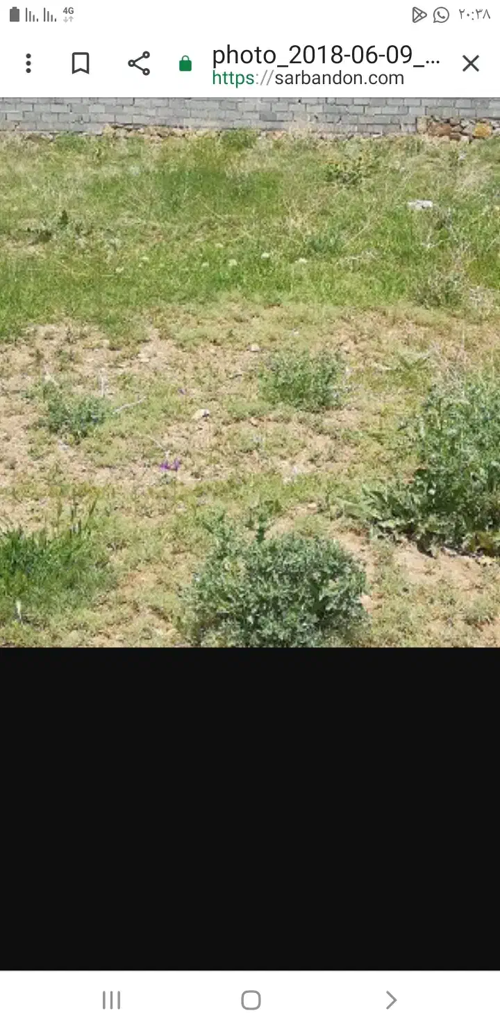 فروش زمین مسکونی|فروش زمین و ملک کلنگی|بیجار, |دیوار