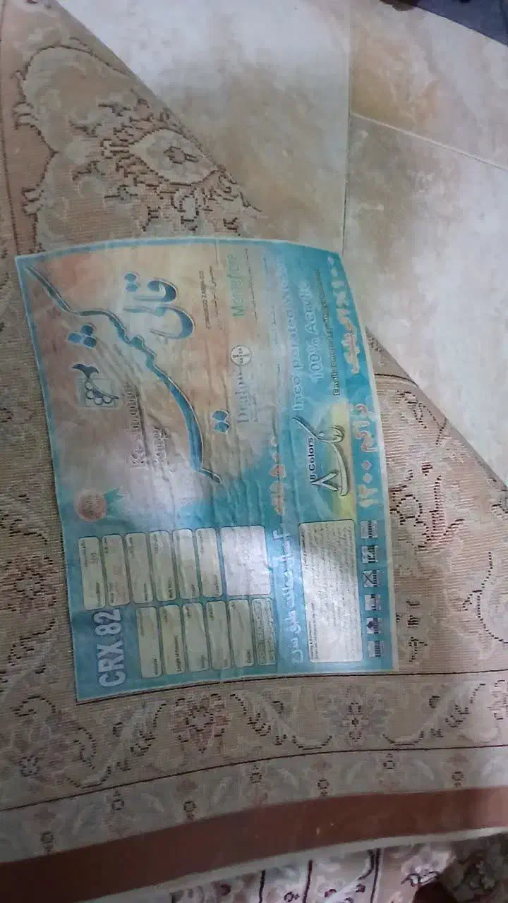 فرش ۵۰۰شانه ابریشم.بسیار تمیز و در حد نو|فرش|قائم‌شهر, |دیوار