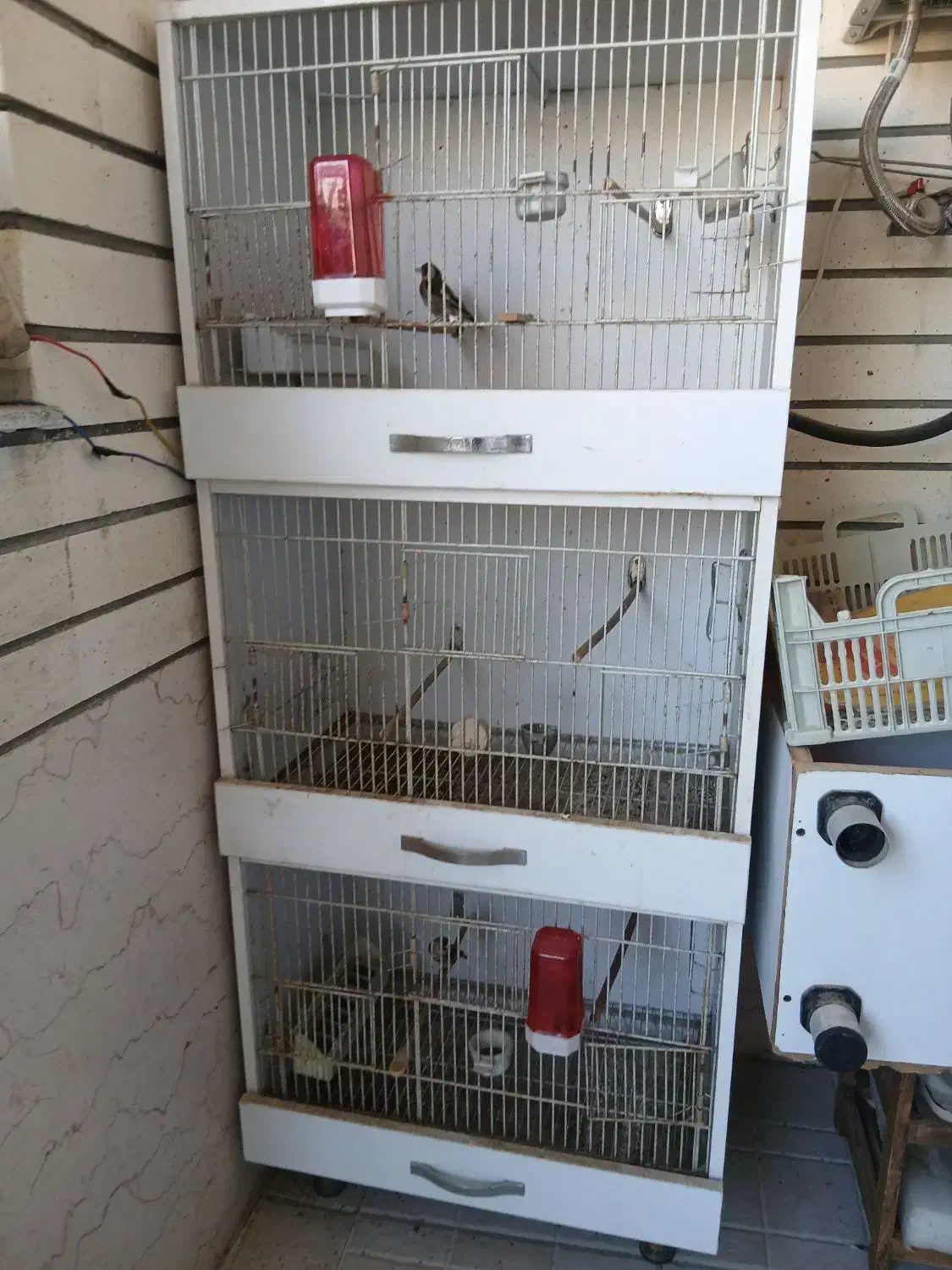 قفس پرنده|لوازم جانبی حیوانات|کرمانشاه, |دیوار