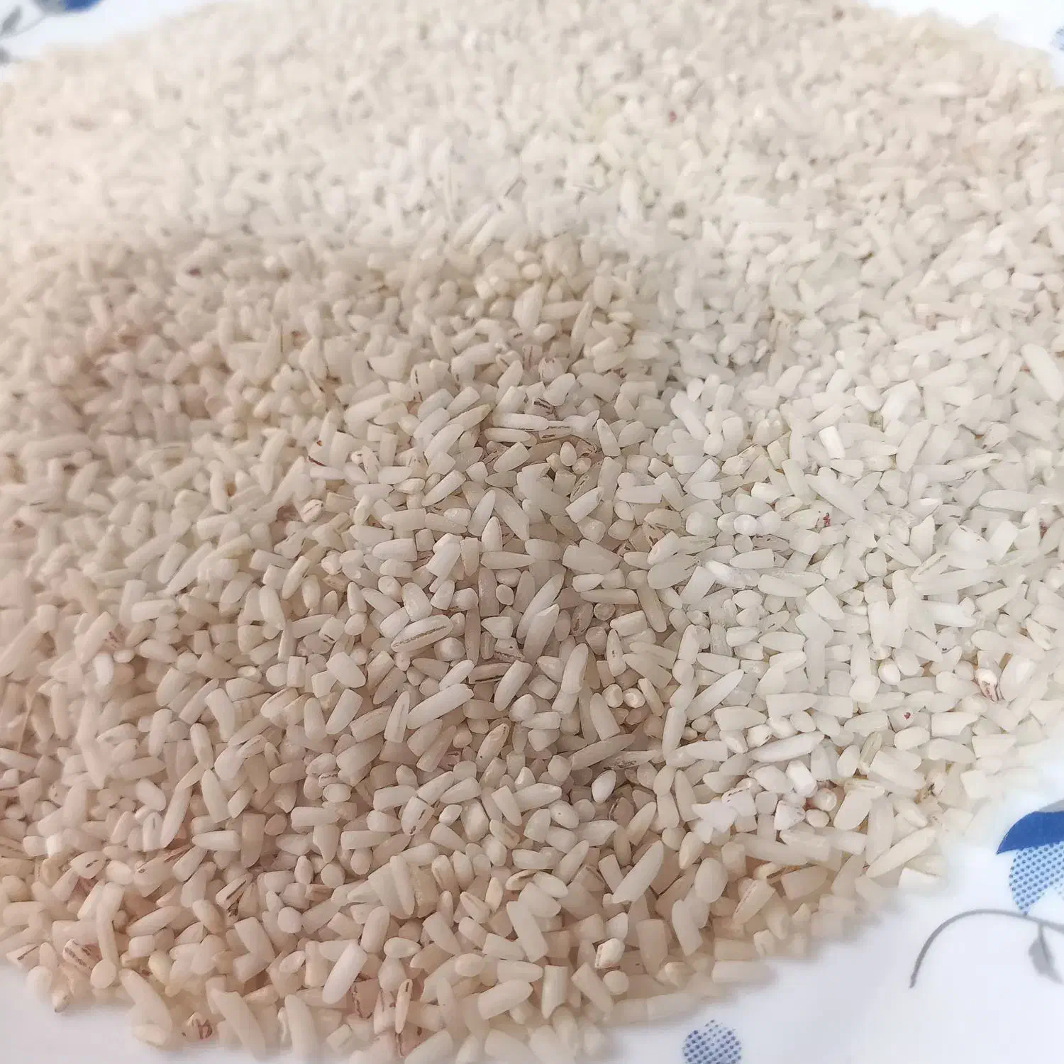 لاشه هاشمی|خوردنی و آشامیدنی|بندر انزلی, پردیس|دیوار