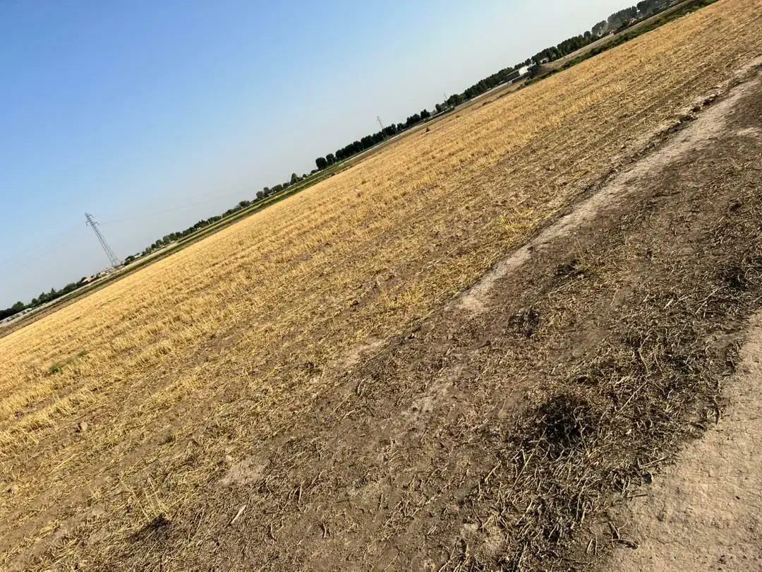 ۲۰۰۰ منر زمین|فروش دفتر صنعتی، کشاورزی، تجاری|پاکدشت, پاکدشت (مامازند)|دیوار