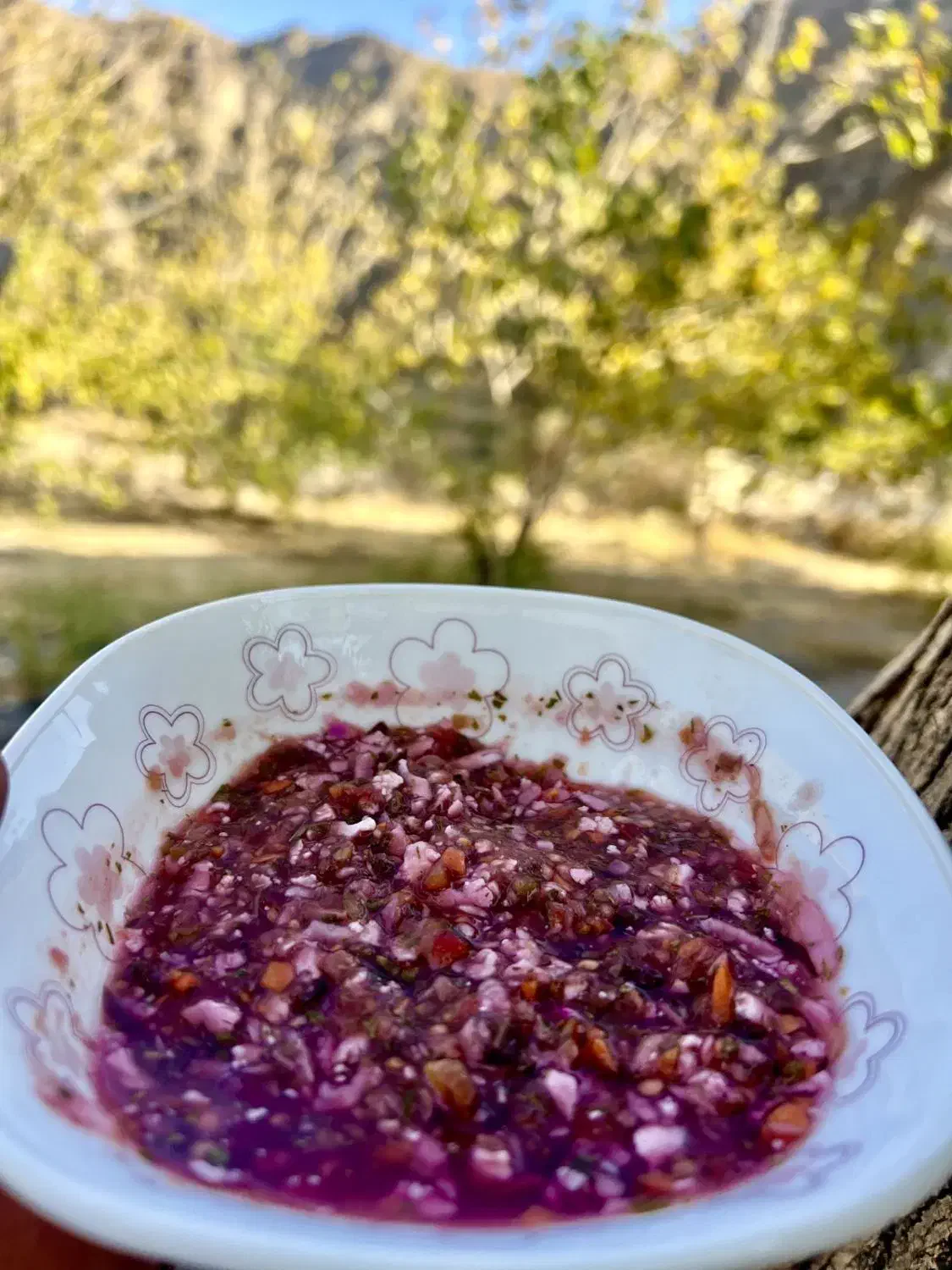 ترشی لیته|خوردنی و آشامیدنی|میانه, |دیوار