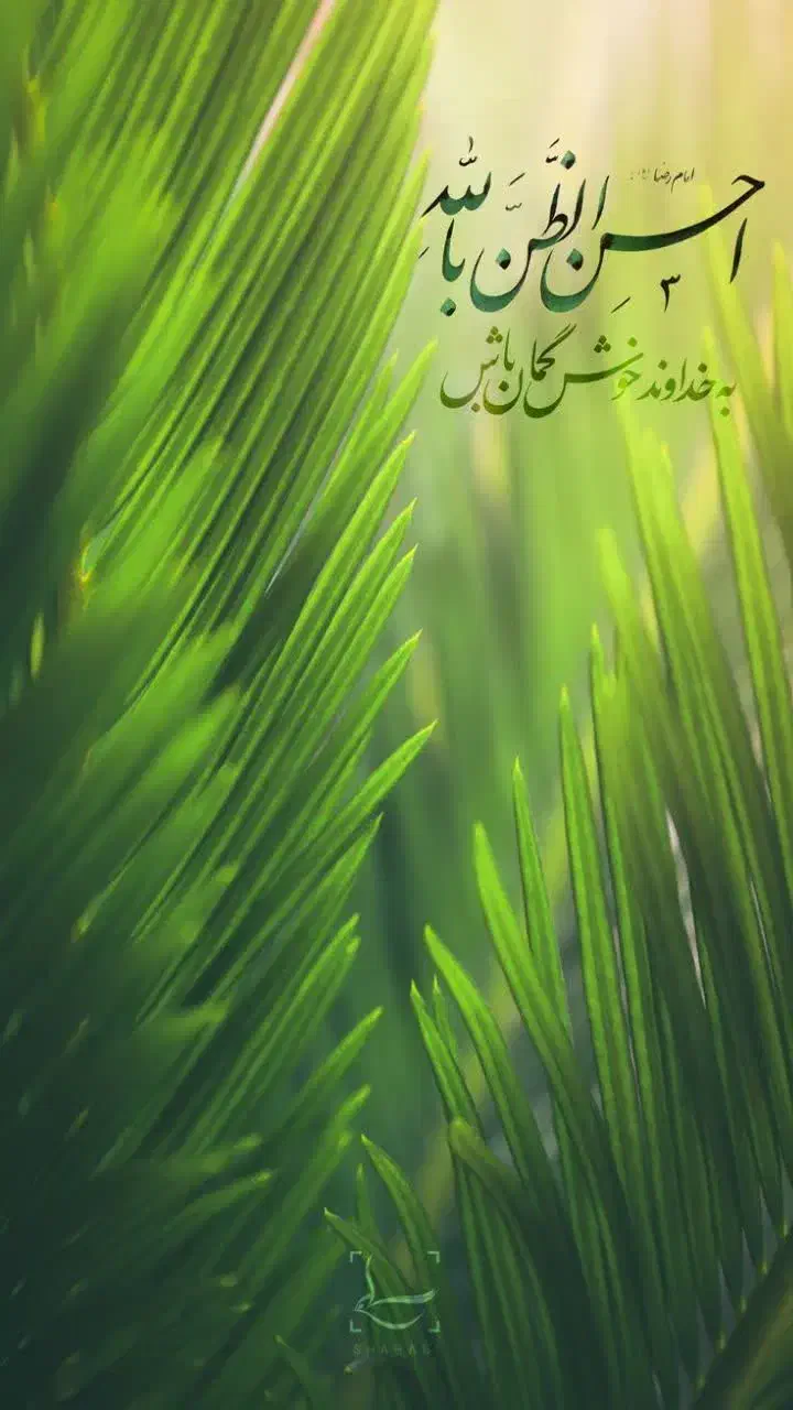 وام آماده به ضامن|اشیا|شیراز, فاضل|دیوار