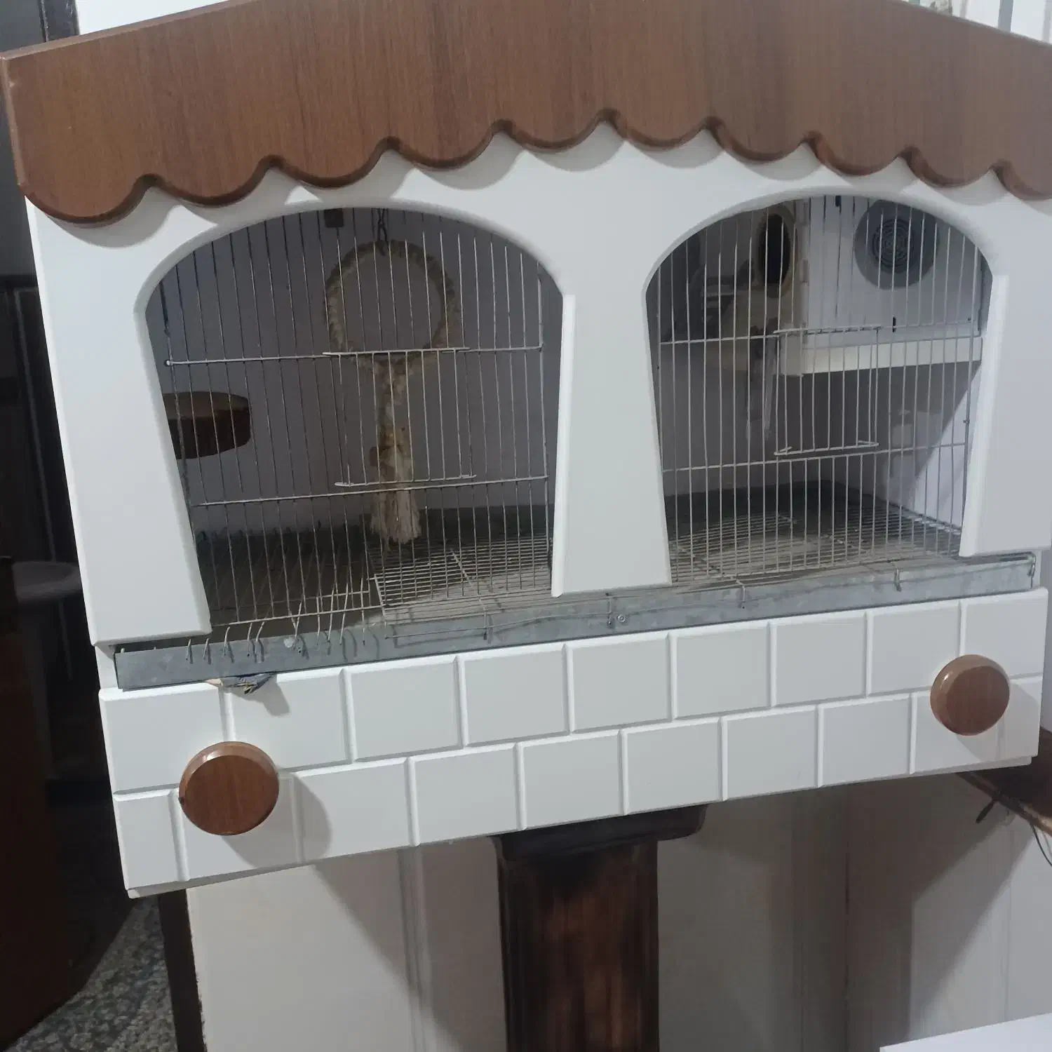 قفس پرنده نو|لوازم جانبی حیوانات|حمیدیا, |دیوار