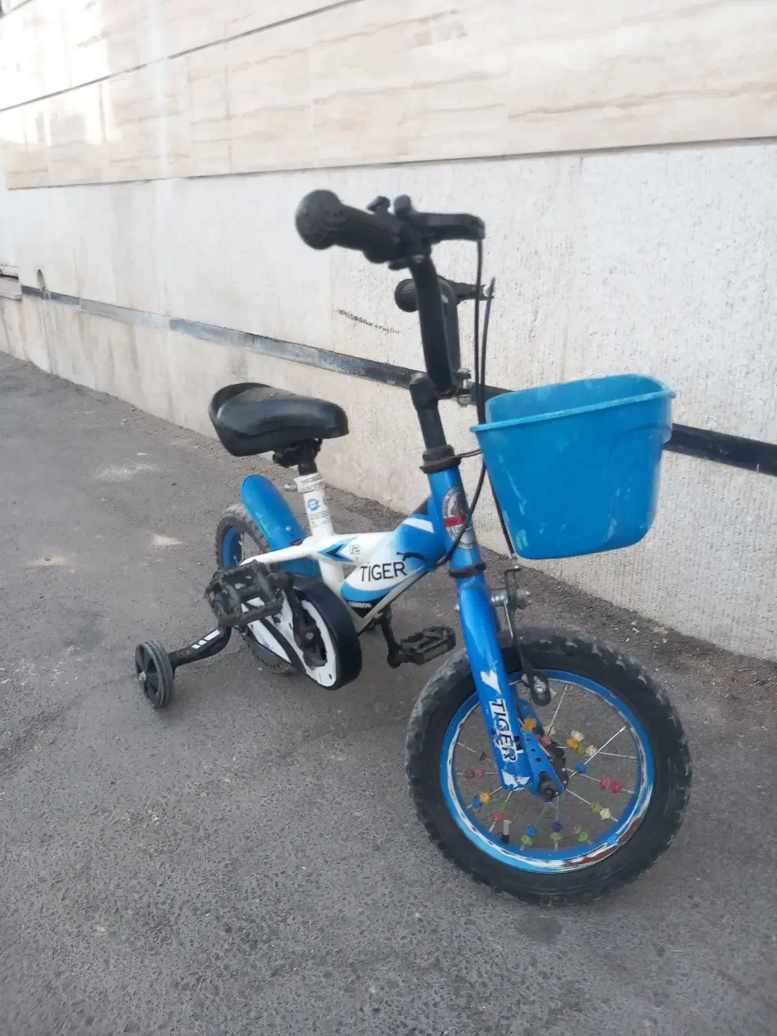 دوچرخه ۱۲|دوچرخه، اسکیت، اسکوتر|شیراز, پودنک|دیوار