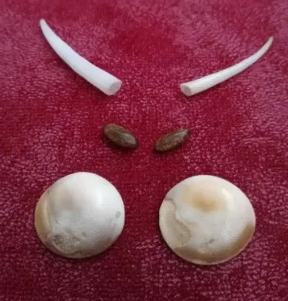 فروش مهره ها و انواع ان|بدلیجات|سنندج, |دیوار