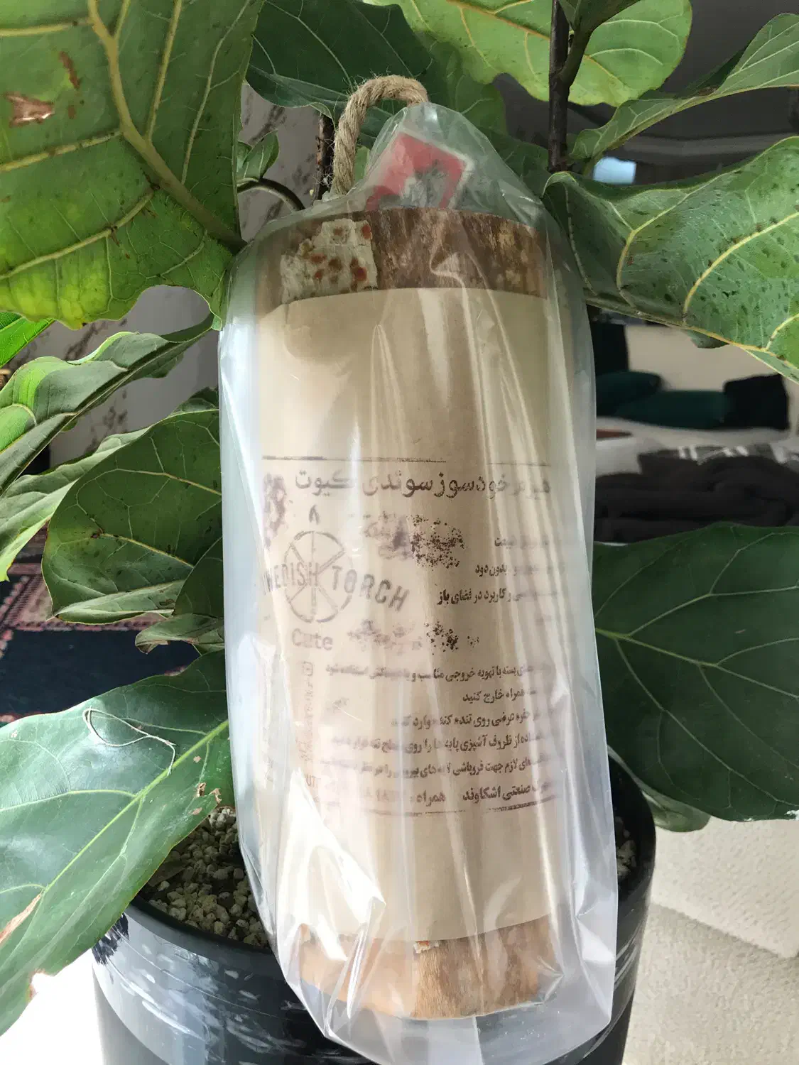 هیزم آسان سوز سوئدی|کوهنوردی و کمپینگ|اصفهان, باغ کاران|دیوار