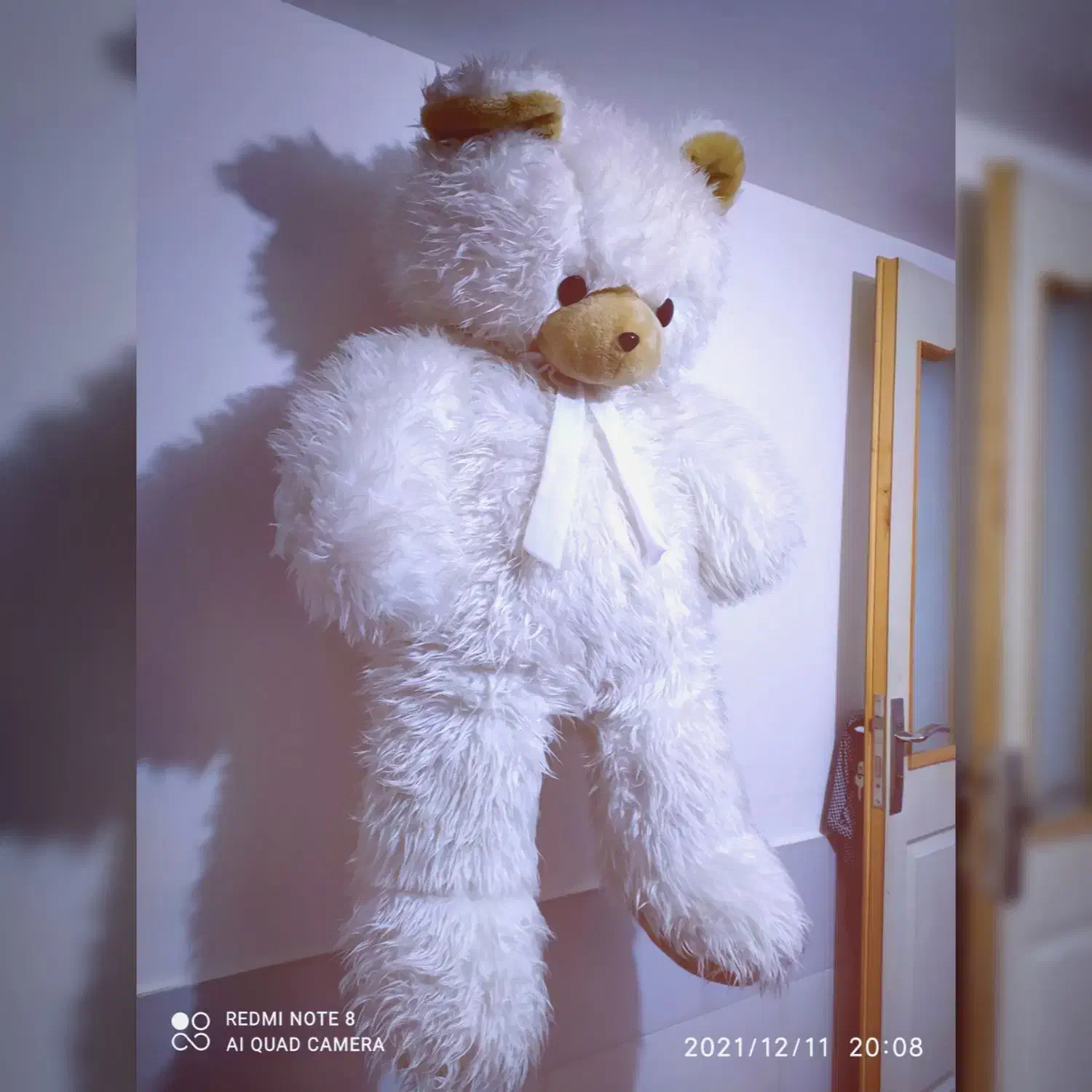 خرس بزرگ|اسباب‌بازی بچه|زنجان, |دیوار