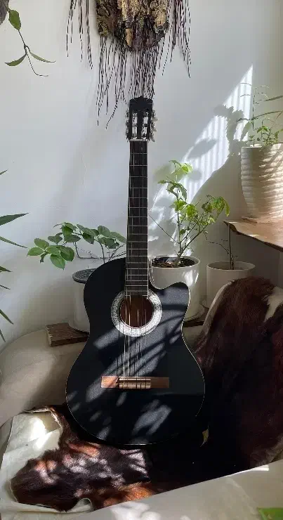 گیتار|گیتار، بیس، امپلیفایر|همدان, |دیوار