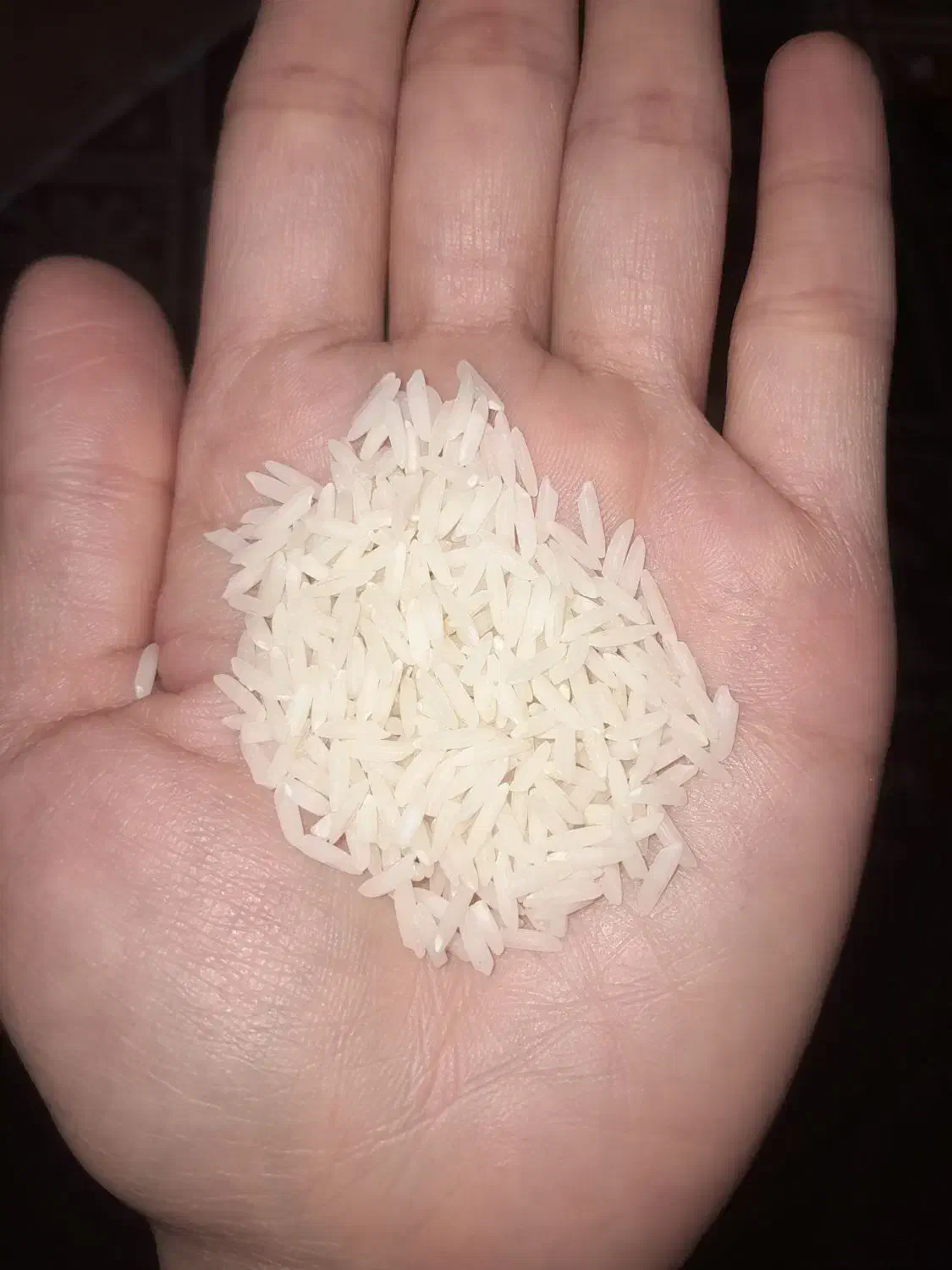 دم سیاه|خوردنی و آشامیدنی|رشت, سلیمانداراب|دیوار