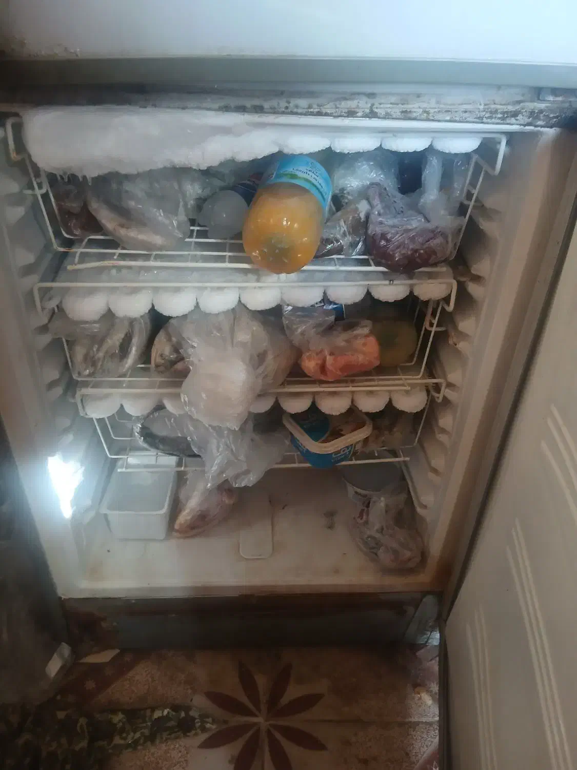 یخچال|یخچال و فریزر|میناب, |دیوار