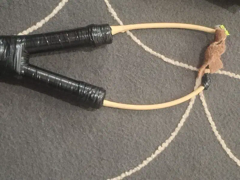 قوش تفنگی|کوهنوردی و کمپینگ|مشگین شهر, |دیوار