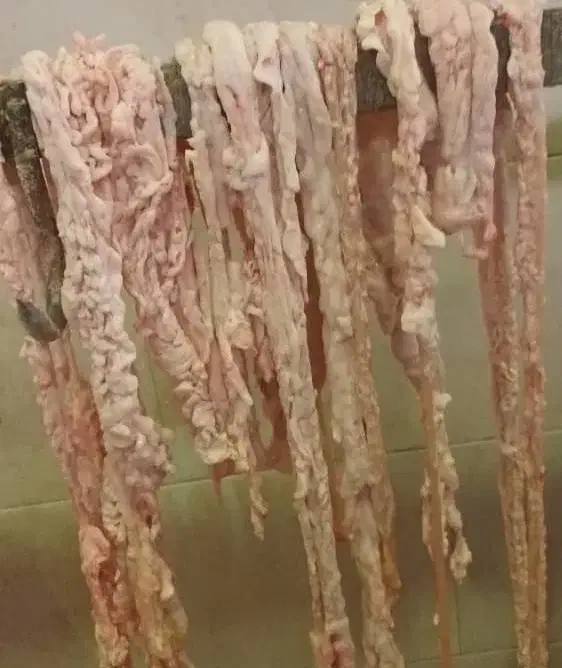 روده چاق گوسفندی|خوردنی و آشامیدنی|تهران, ترمینال جنوب|دیوار