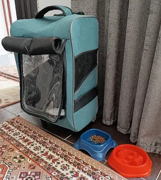 کیف سگ|لوازم جانبی حیوانات|مشهد, شهید قربانی|دیوار