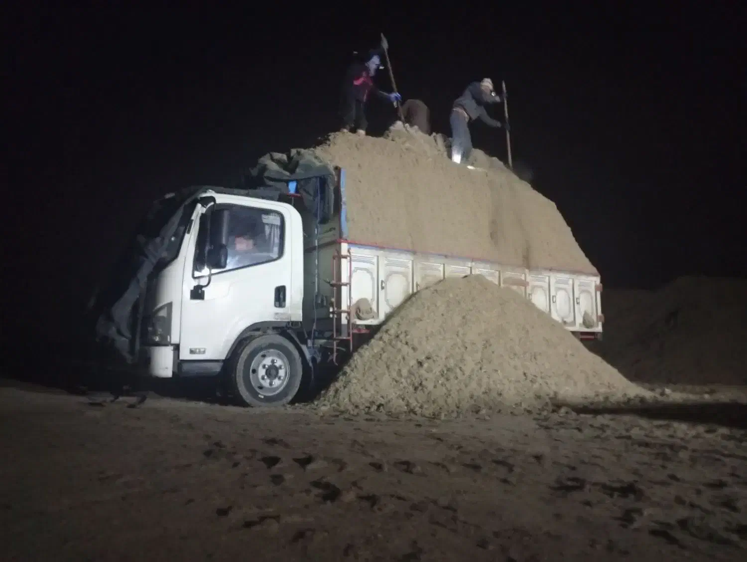 کاه نیشکر|لوازم جانبی حیوانات|خرم‌آباد, |دیوار