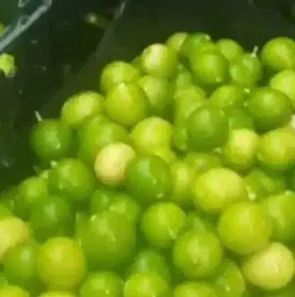 آبلیموی طبیعی|خوردنی و آشامیدنی|اصفهان, شاه پسند|دیوار