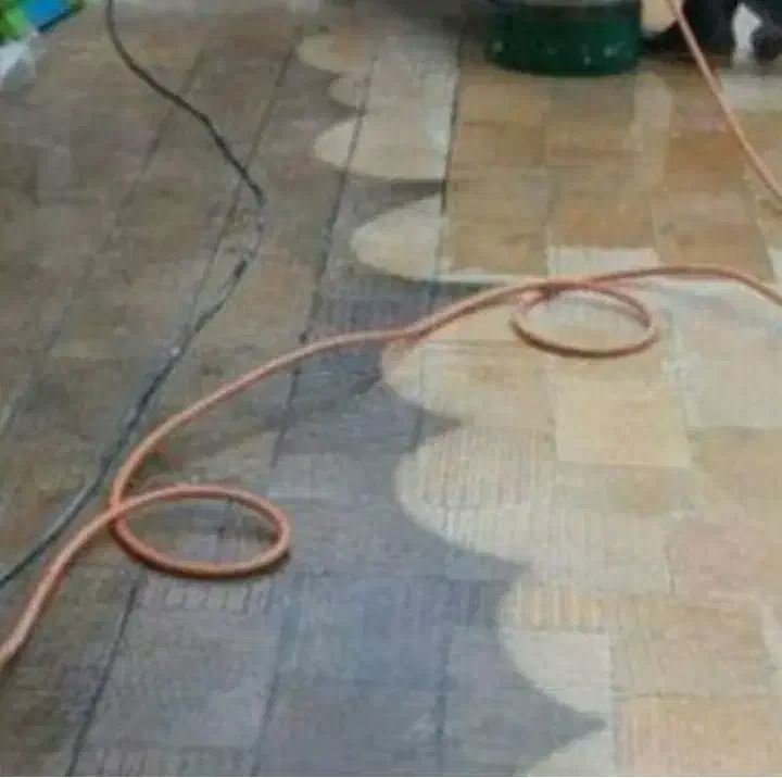 کفسابی بتن کف سابی کفساب سنگساب سنگ سابی سنگسابی|خدمات نظافت|تهران, خانی آباد نو شمالی|دیوار