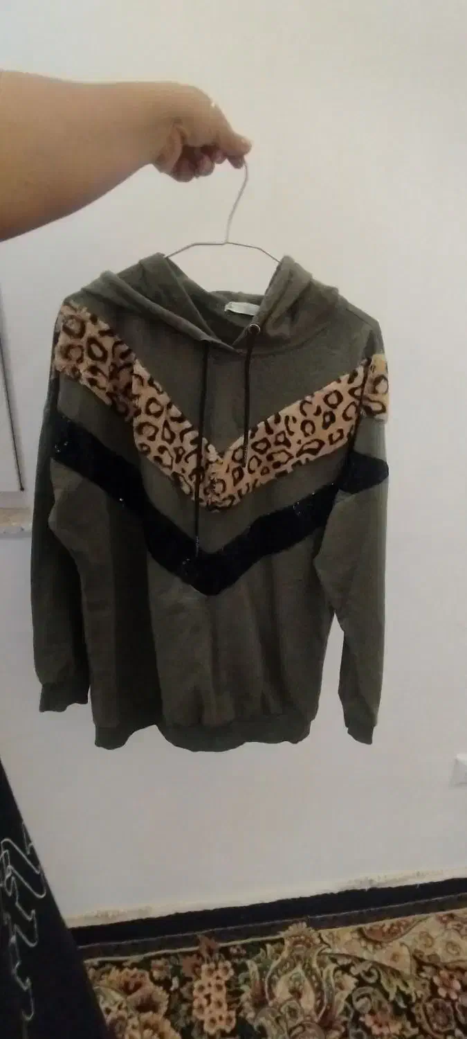 هودی|حراج|زنجان, |دیوار